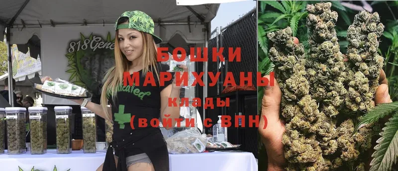 купить   Пудож  Конопля White Widow 